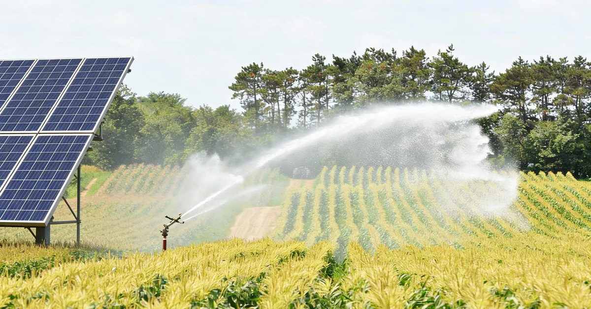 Solar Energy Agriculture Irrigation Market Trends and Outlook